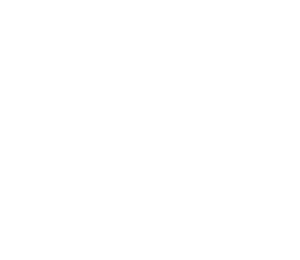 A Plus Patio & Screen logo